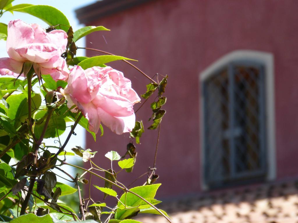 L'Orto Dei Semplici Mascali Ngoại thất bức ảnh